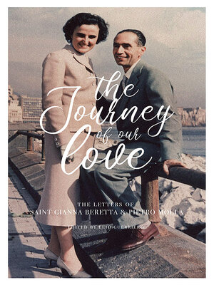 cover image of The Journey of Our Love
